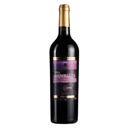 西班牙希望庄园藏酿干红葡萄酒2002