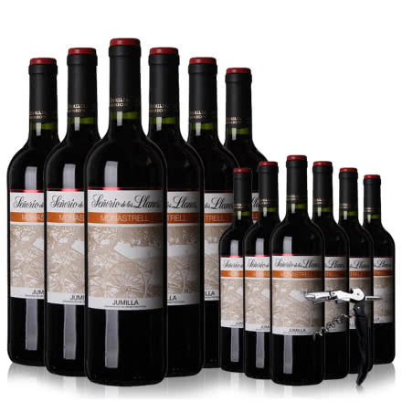 西班牙DO级原瓶进口红酒圣里奥干红葡萄酒750ml*6买一箱送一箱