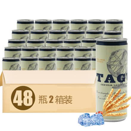 泰谷（TAGUS） 欧洲原装进口泰谷啤酒黄啤酒铁颧装24*48听2箱